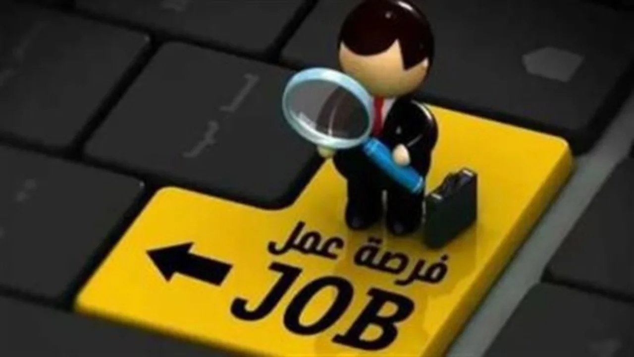 تقديم مرتقب.. وظائف جديدة في قنديل جلاس بالسويس